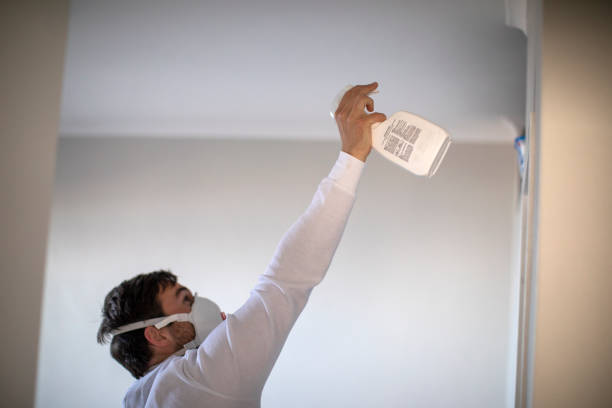 Best Crawl Space Mold Removal  in Pineville, KY