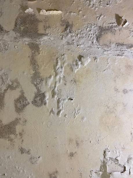 Water Damage Restoration in Pineville, KY